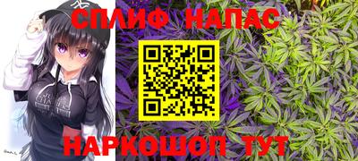 амф Краснознаменск