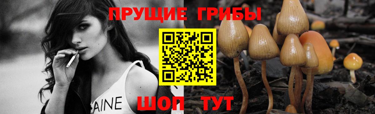 Изобильный  Галлюциногенные грибы мицелий  Вход с VPN  Псилоцибиновые грибы GOLDEN TEACHER 